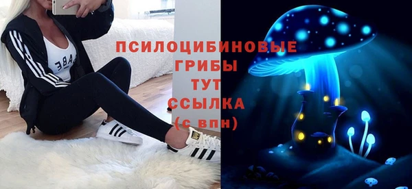 крисы Арсеньев