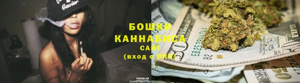 СК Тайга